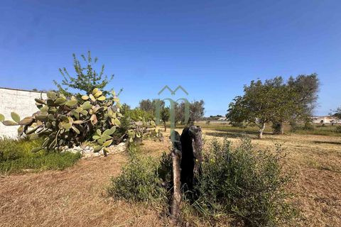 Ruin i Brindisi, Brindisi, Brindisi - € 34 000 | Ref: Lamia Melograno - foto 6